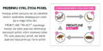 FRONTLINE Tri-Act dla Psów 2-5 kg - obrazek 9