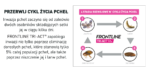 FRONTLINE Tri-Act dla Psów 10-20 kg - obrazek 8
