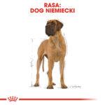 Royal Canin Great Dane Adult 12kg - obrazek 2