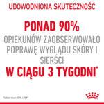 Royal Canin Karma Kot Skóra Sierść 10kg - obrazek 5