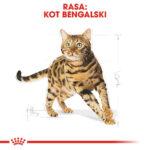 ROYAL CANIN Karma dla Bengala Adult 2kg - obrazek 2