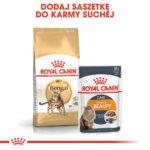 ROYAL CANIN Karma dla Bengala Adult 2kg - obrazek 5