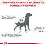 Royal Canin Hypoallergenic Moderate Calorie - obrazek 7