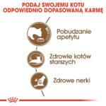 ROYAL CANIN Ageing 12+ Karma dla Kota - obrazek 7