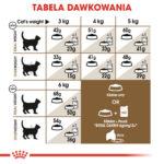 ROYAL CANIN Ageing 12+ Karma dla Kota - obrazek 9
