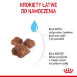 Royal Canin Mother & Babycat 400g - obrazek 6