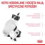 Royal Canin Mother & Babycat 4kg - obrazek 4
