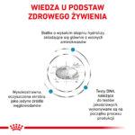 Royal Canin Anallergenic dla Kota 2kg - obrazek 3