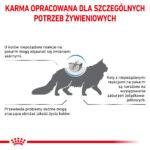 Royal Canin Anallergenic dla Kota 2kg - obrazek 9