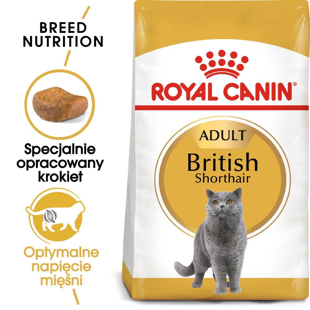 7457_1.jpg Royal Canin British Shorthair Adult 10kg - obrazek 1