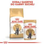 Royal Canin British Shorthair Adult 10kg - obrazek 6