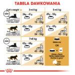Royal Canin British Shorthair Adult 10kg - obrazek 7