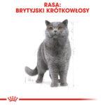 Royal Canin British Shorthair Adult 2kg - obrazek 2