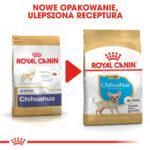 Royal Canin Karma Szczenię Chihuahua 1.5kg - obrazek 8