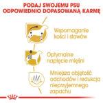 Karma ROYAL CANIN Dachshund Adult 1,5kg - obrazek 5