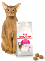 ROYAL CANIN Aroma Exigent dla wybrednych kotów 400g - obrazek 4