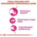 ROYAL CANIN Aroma Exigent dla wybrednych kotów 400g - obrazek 6