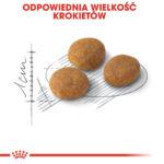 ROYAL CANIN Aroma Exigent dla wybrednych kotów 400g - obrazek 7