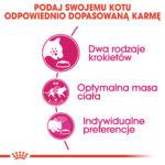 Karma dla Wybrednych Kotów Royal Canin 10kg - obrazek 7