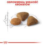Karma dla Wybrednych Kotów Royal Canin 10kg - obrazek 8