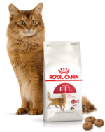 Royal Canin Fit 32 Karma dla Kotów 10kg - obrazek 4