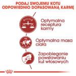 Royal Canin Fit 32 Karma dla Kotów 10kg - obrazek 6