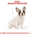 Karma Royal Canin French Bulldog Puppy 3kg - obrazek 5