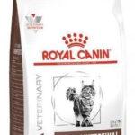 Royal Canin Gastrointestinal dla kota 2kg