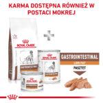 Royal Canin Gastro Low Fat 12kg - obrazek 8