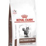 Royal Canin Gastrointestinal Kot Umiarkowana Kaloryczność