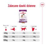 Karma ROYAL CANIN Giant Adult 15kg - obrazek 10