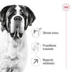 Karma ROYAL CANIN Giant Adult 15kg - obrazek 5
