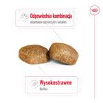 Karma ROYAL CANIN Giant Adult 15kg - obrazek 6
