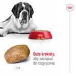 Karma ROYAL CANIN Giant Adult 15kg - obrazek 7