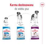 Karma ROYAL CANIN Giant Adult 15kg - obrazek 8