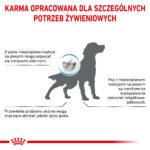 Karma ROYAL CANIN Hypoallergenic 7kg - obrazek 10