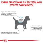 Karma Royal Canin Hypoallergenic Small Dog 3,5kg - obrazek 10