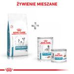 Karma Royal Canin Hypoallergenic Small Dog 3,5kg - obrazek 8