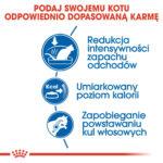 Karma dla kota ROYAL CANIN Indoor 27 - obrazek 7