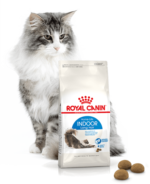 Royal Canin Indoor Long Hair 10kg - obrazek 4