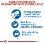 Royal Canin Indoor Long Hair 10kg - obrazek 6
