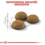 Royal Canin Indoor Long Hair 10kg - obrazek 7