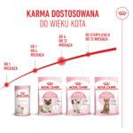 Royal Canin Kitten Karma dla Kociąt 10kg - obrazek 11