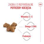 ROYAL CANIN Karma dla Kociąt 400g - obrazek 2