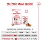 Royal Canin Kitten Karma dla Kociąt 4kg - obrazek 10