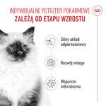 Royal Canin Kitten Karma dla Kociąt 4kg - obrazek 4