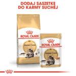 Karma Royal Canin Maine Coon Adult 400g - obrazek 5