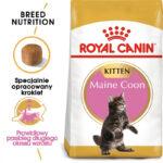 Royal Canin Maine Coon Kitten 10kg