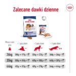 ROYAL CANIN Maxi Adult Karma dla psów 15 kg - obrazek 11