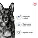 ROYAL CANIN Maxi Adult Karma dla psów 15 kg - obrazek 5